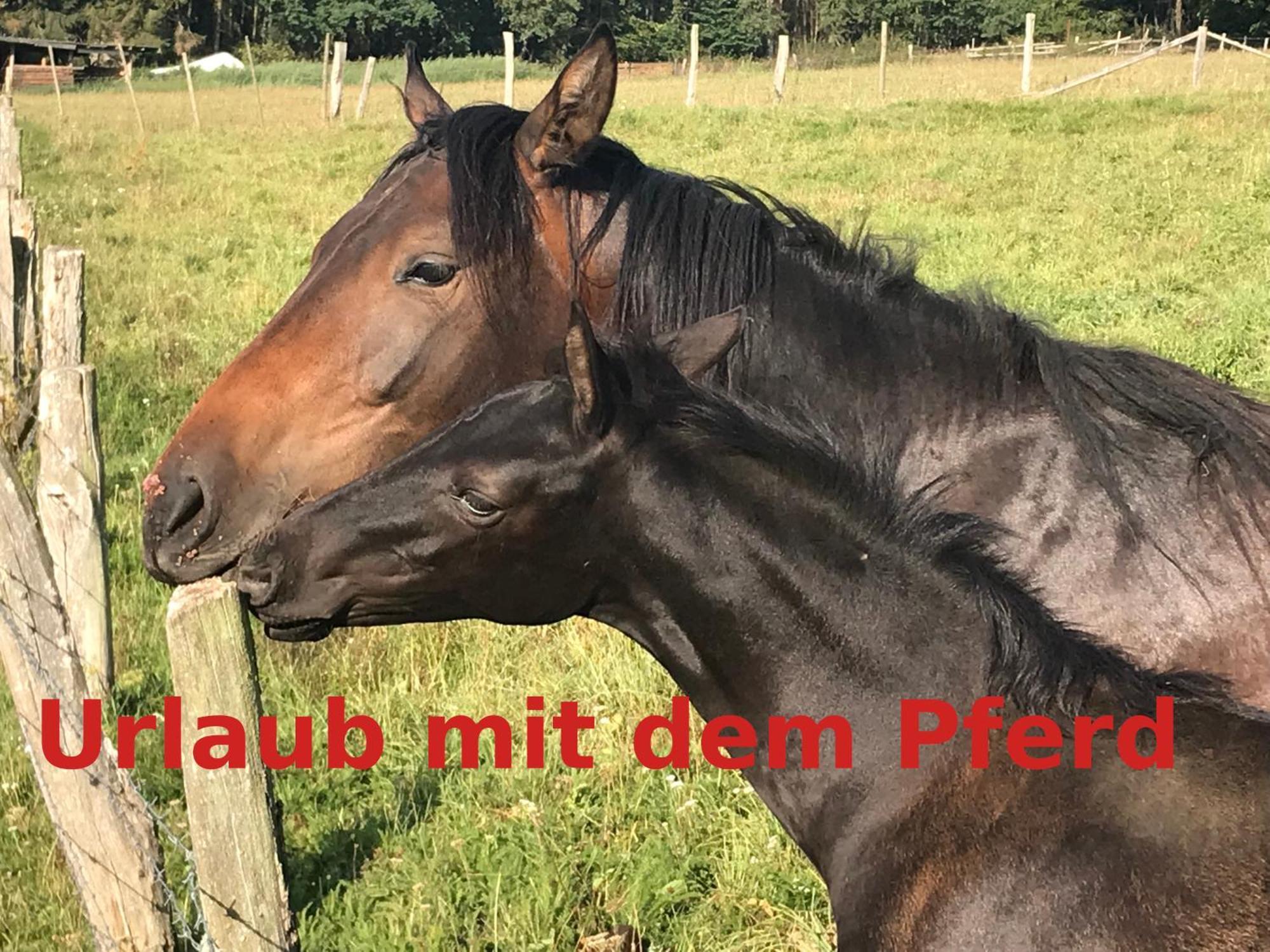 Appartamento Hardtmuehle Momberg Esterno foto